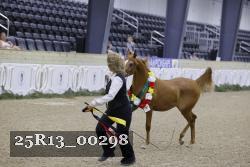 25R13_00298 thumbnail