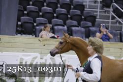 25R13_00301 thumbnail