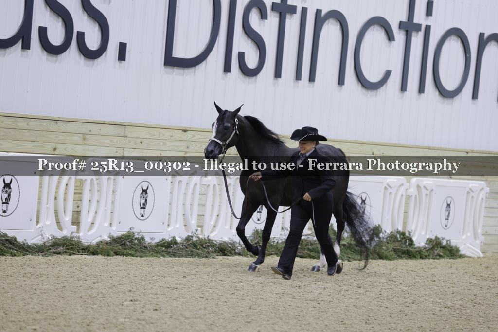 Proof Number 25R13_00302