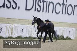25R13_00302 thumbnail