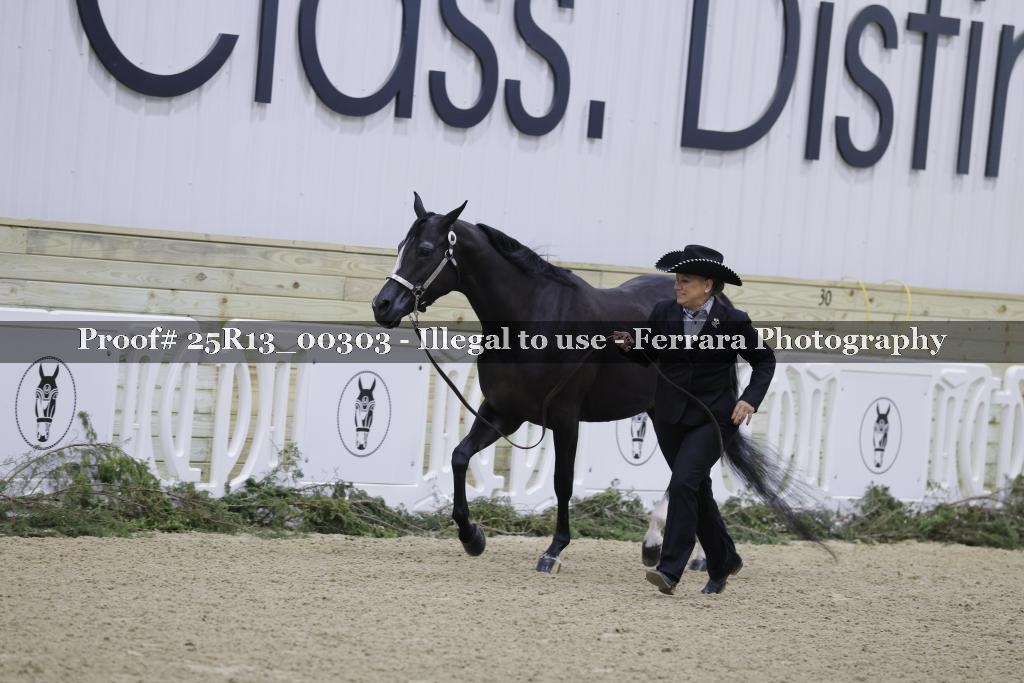 Proof Number 25R13_00303