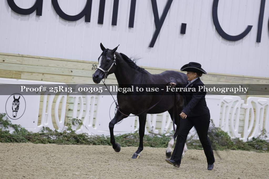 Proof Number 25R13_00305