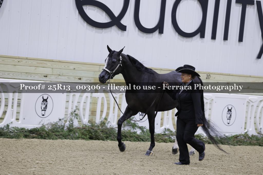 Proof Number 25R13_00306