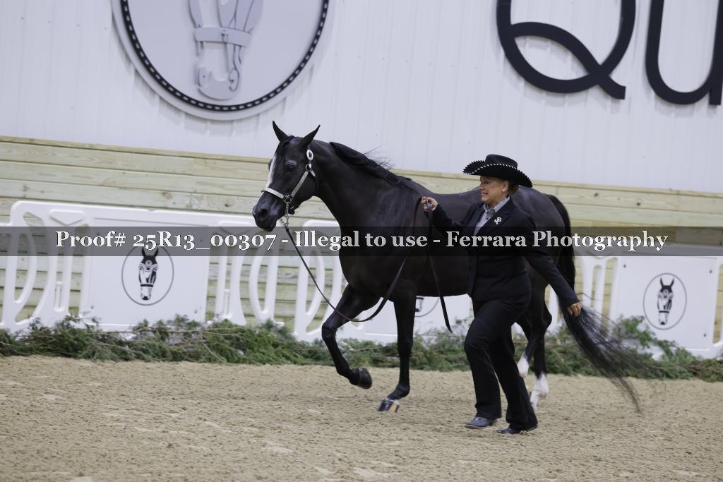 Proof Number 25R13_00307