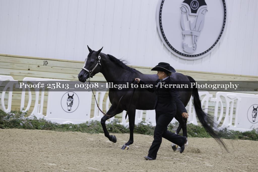 Proof Number 25R13_00308