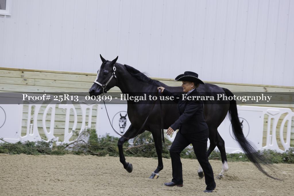 Proof Number 25R13_00309
