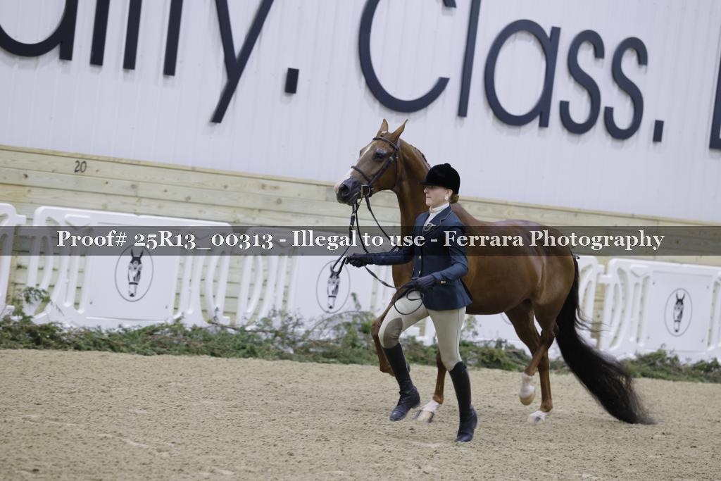 Proof Number 25R13_00313