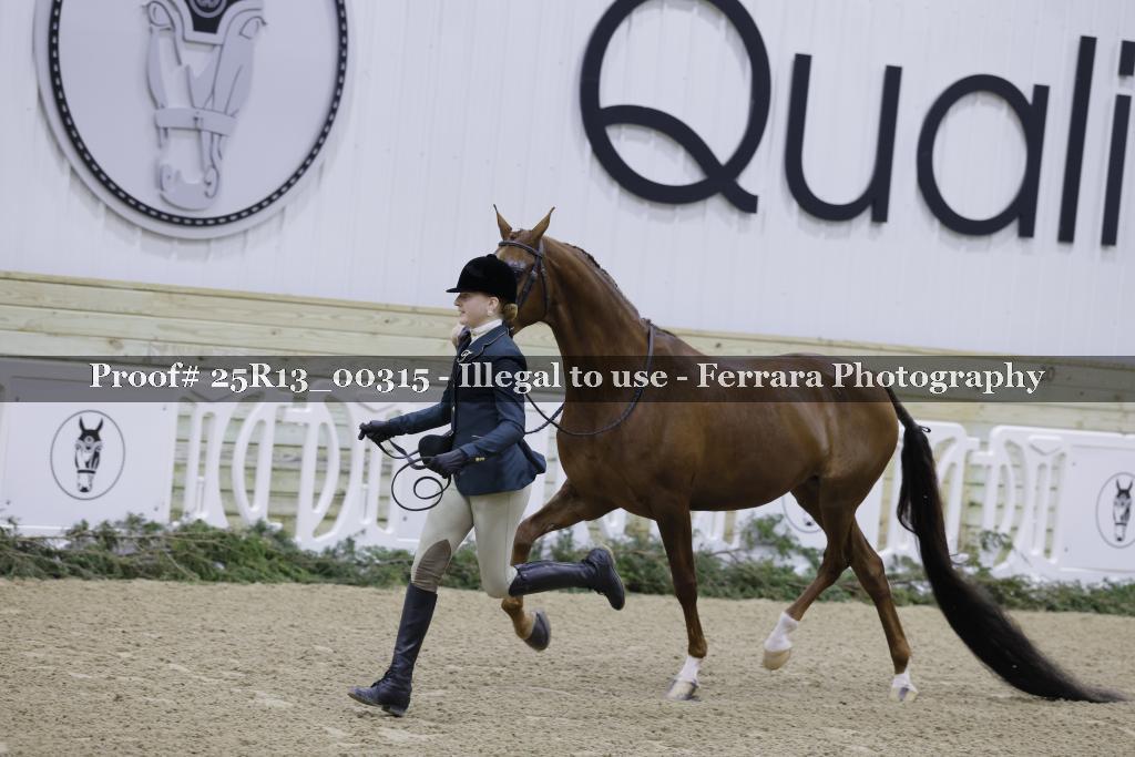 Proof Number 25R13_00315