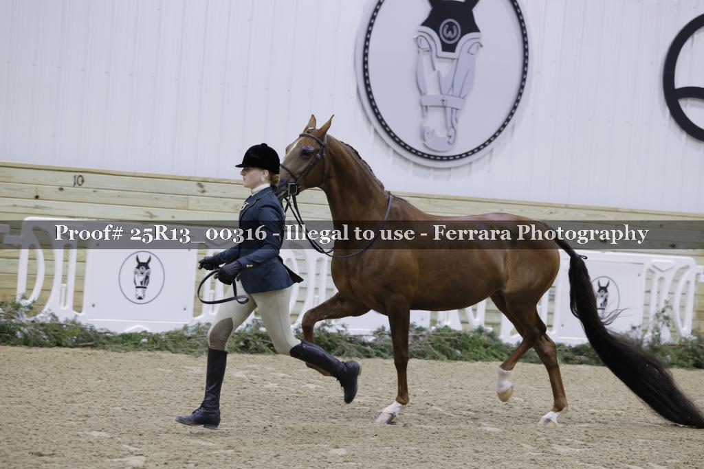 Proof Number 25R13_00316
