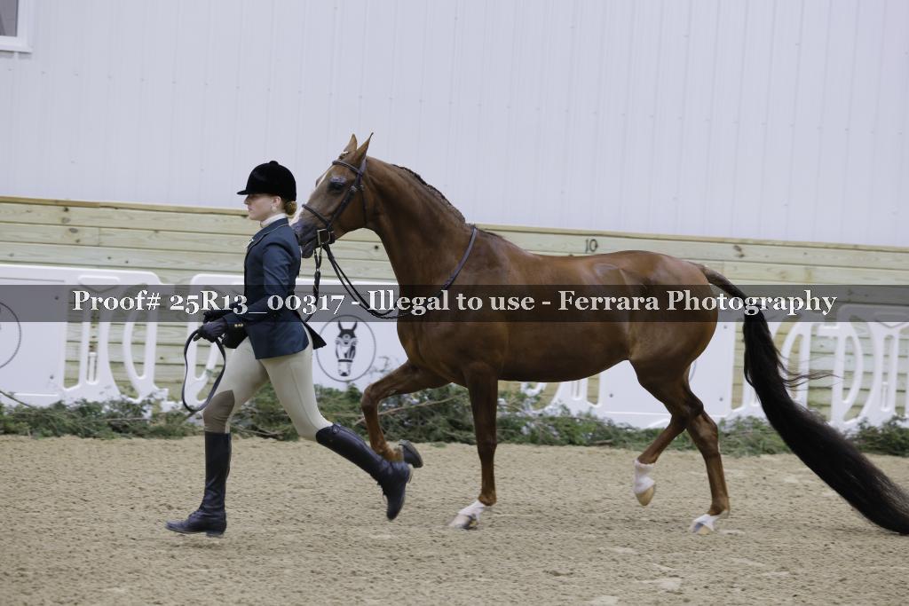 Proof Number 25R13_00317