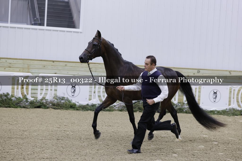 Proof Number 25R13_00322