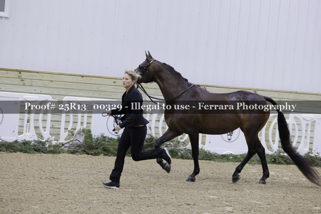 Proof Number 25R13_00329