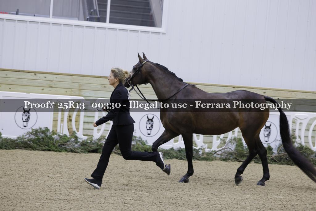 Proof Number 25R13_00330