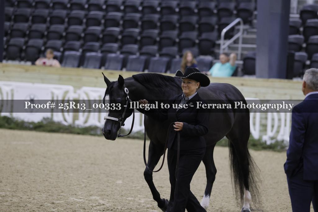 Proof Number 25R13_00333