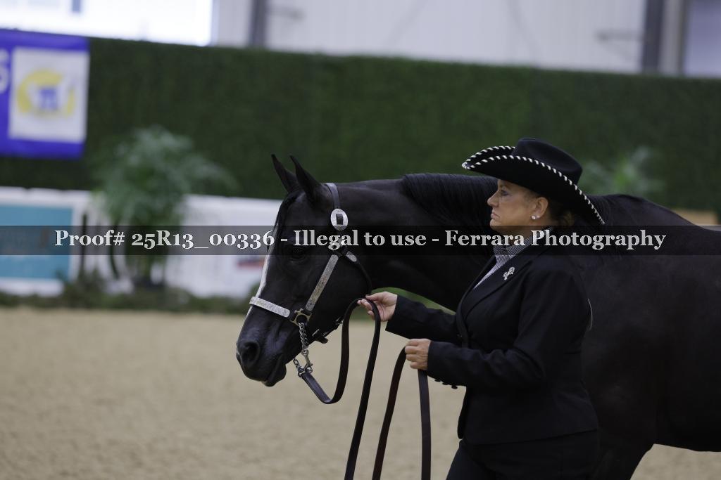 Proof Number 25R13_00336