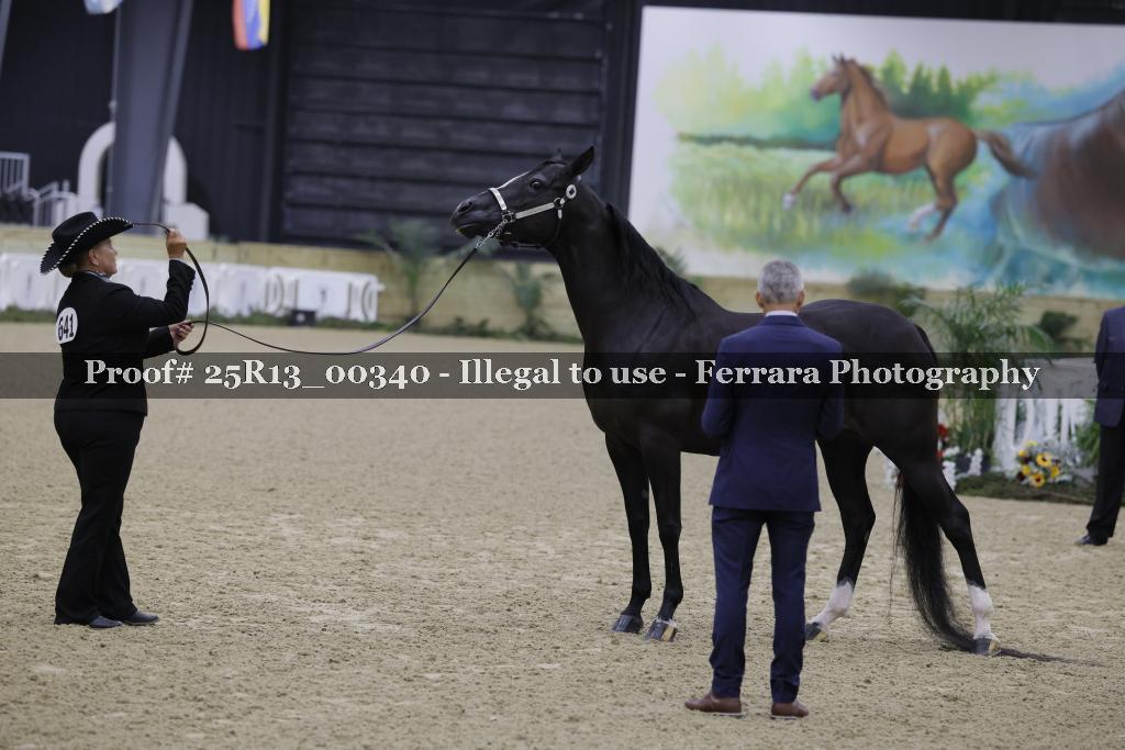 Proof Number 25R13_00340