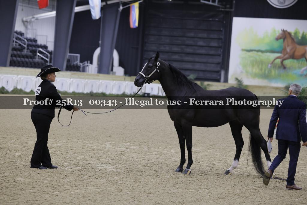 Proof Number 25R13_00343