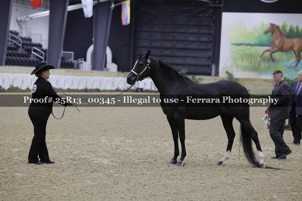 Proof Number 25R13_00345
