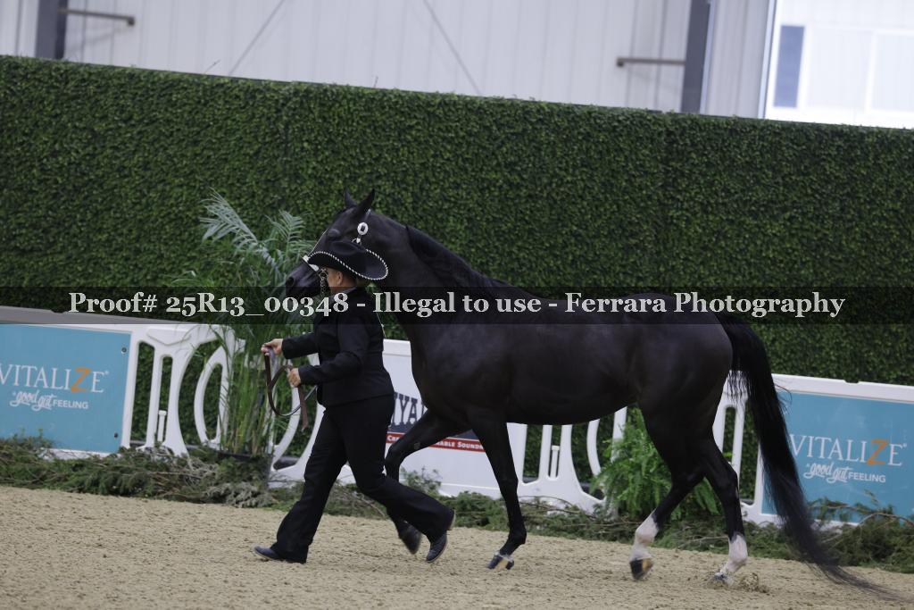 Proof Number 25R13_00348
