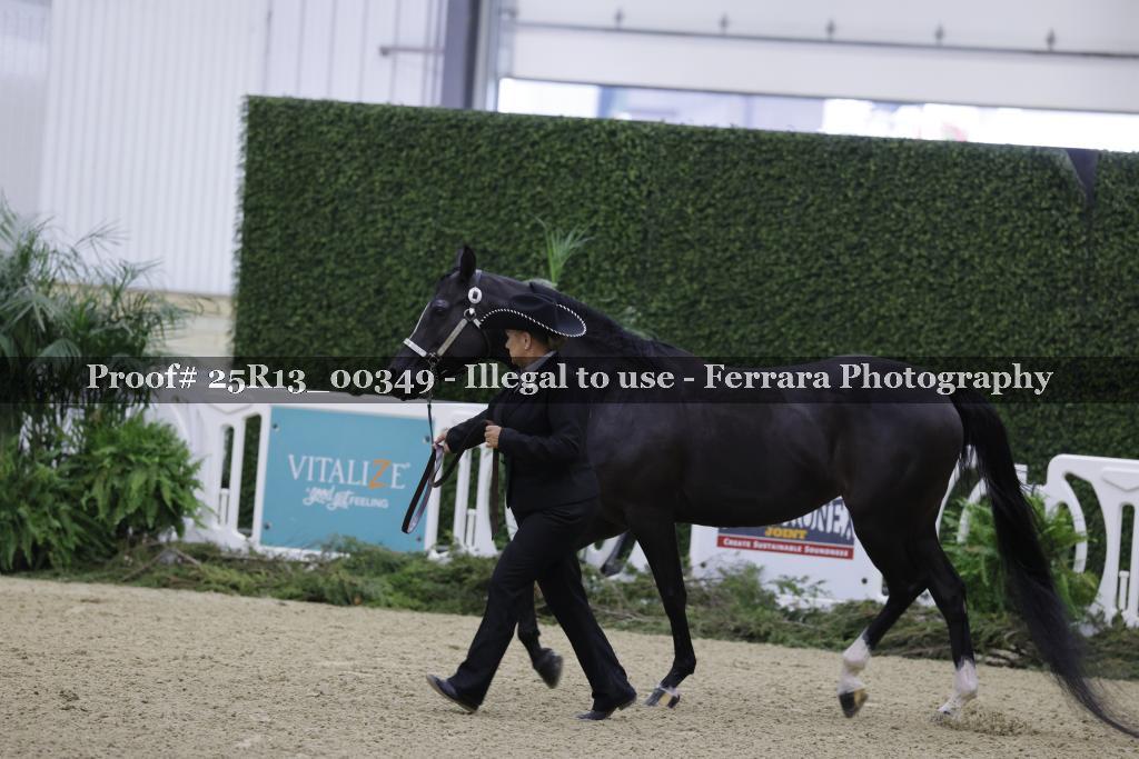 Proof Number 25R13_00349