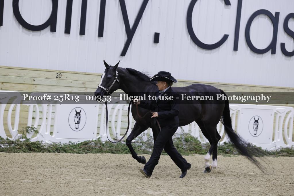 Proof Number 25R13_00353