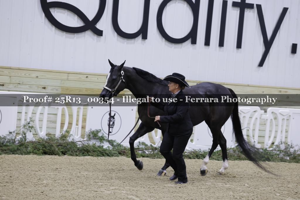 Proof Number 25R13_00354