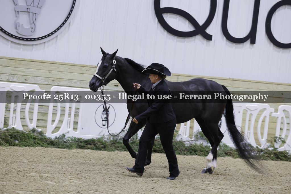 Proof Number 25R13_00355