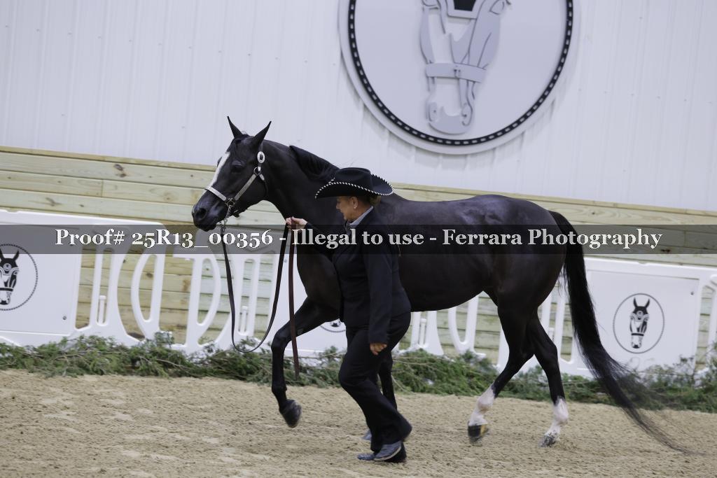 Proof Number 25R13_00356