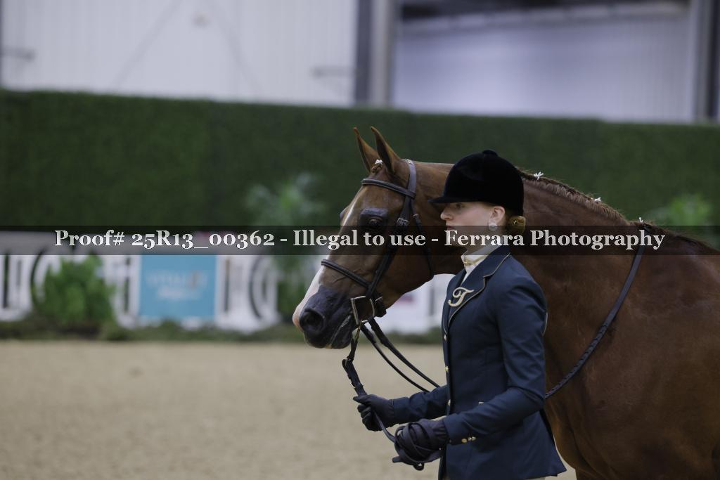 Proof Number 25R13_00362