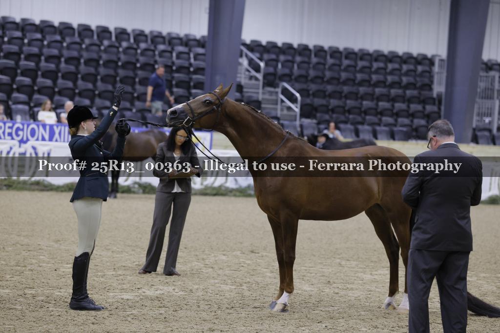 Proof Number 25R13_00363