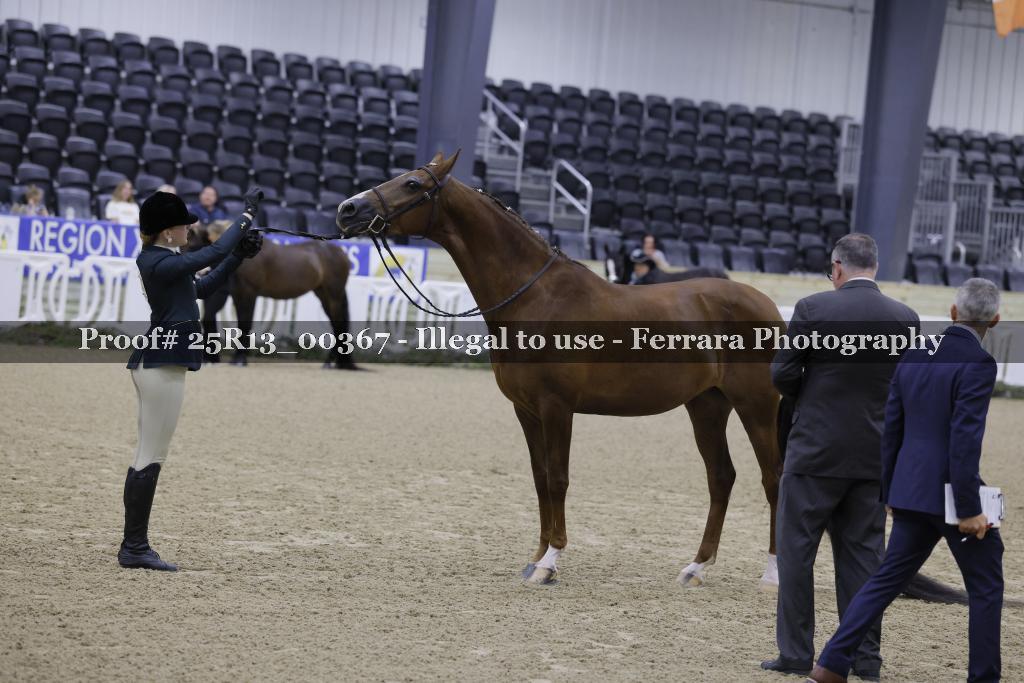 Proof Number 25R13_00367