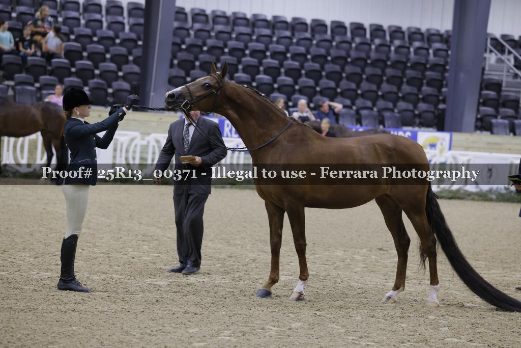 Proof Number 25R13_00371