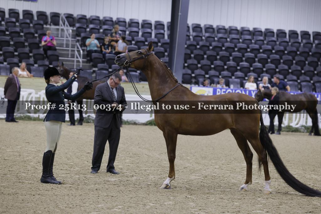 Proof Number 25R13_00374