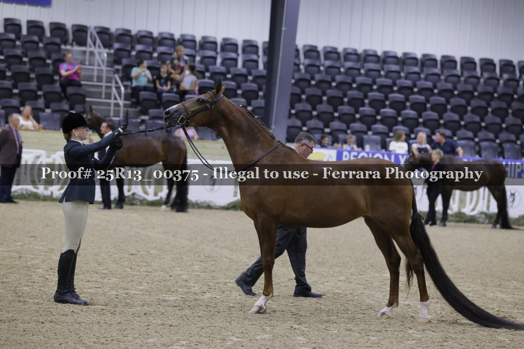 Proof Number 25R13_00375