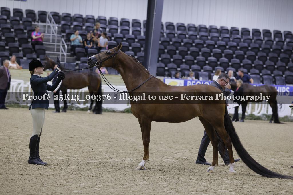 Proof Number 25R13_00376