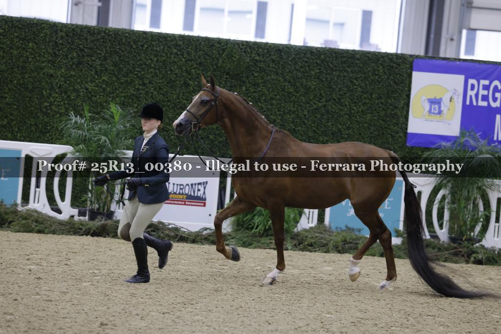 Proof Number 25R13_00380