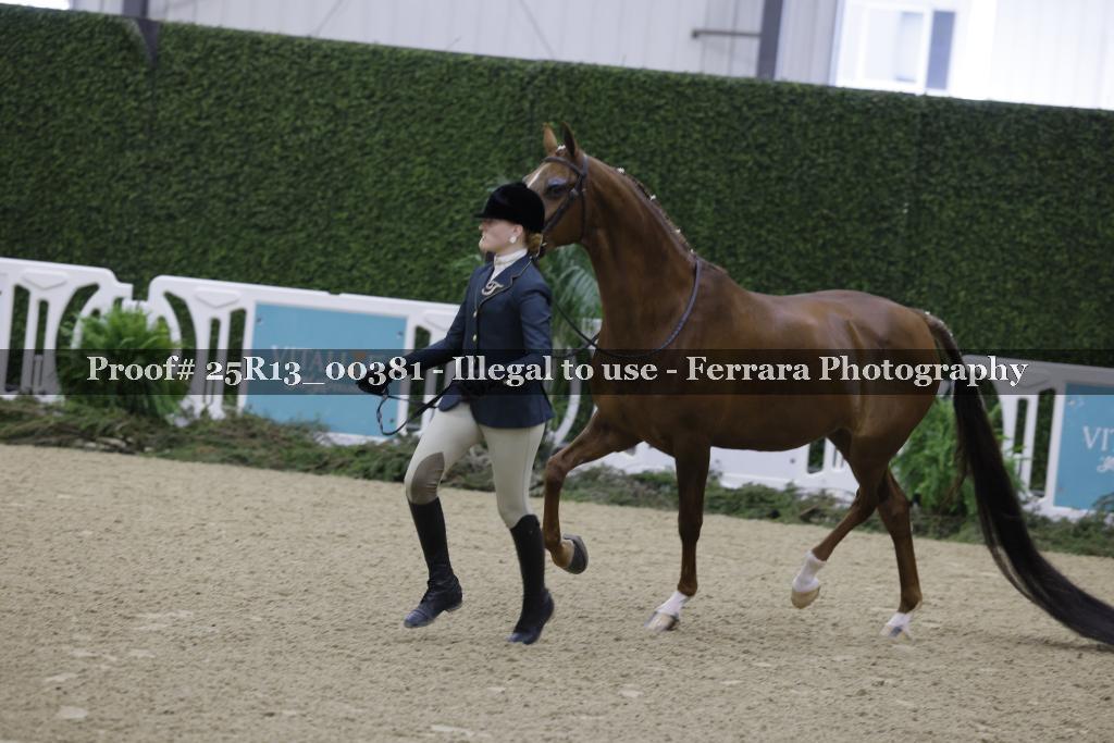 Proof Number 25R13_00381