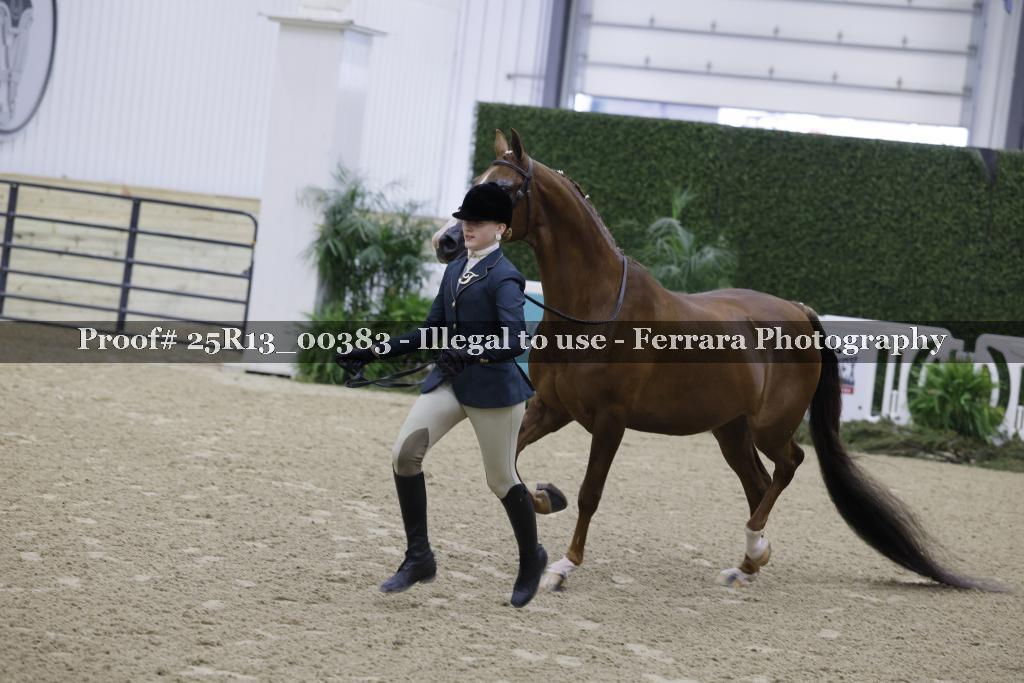 Proof Number 25R13_00383