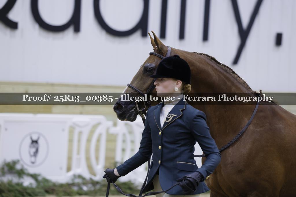 Proof Number 25R13_00385