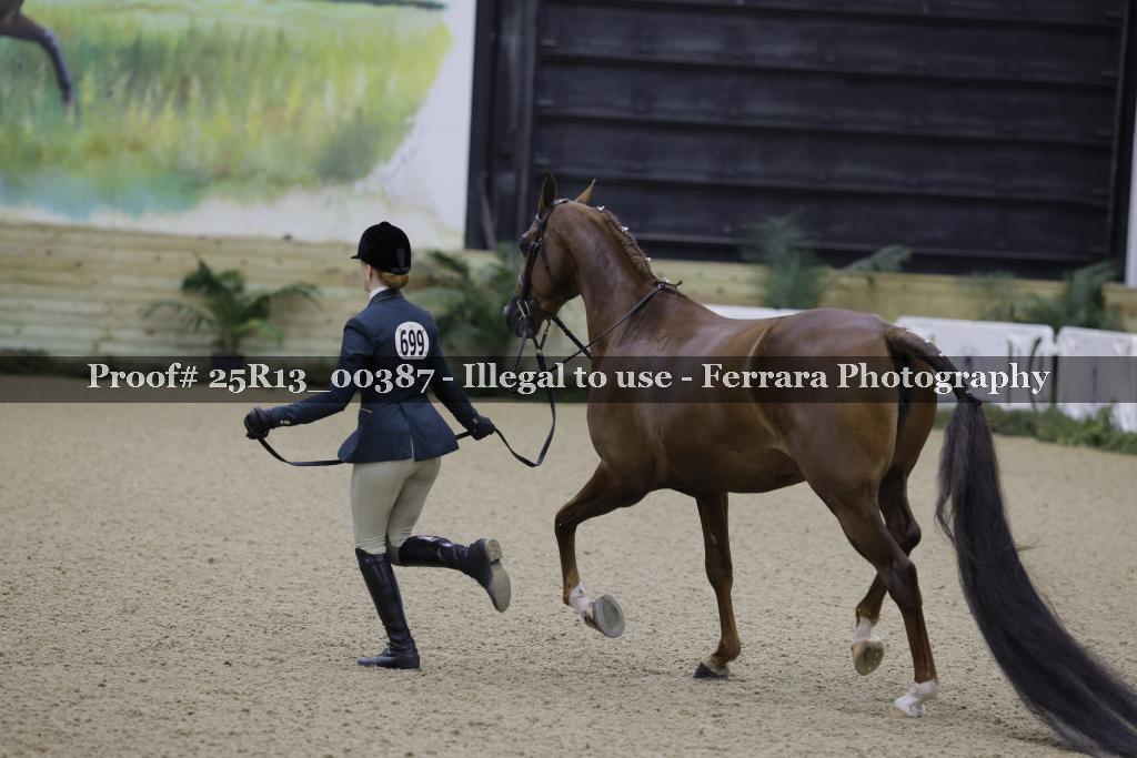 Proof Number 25R13_00387