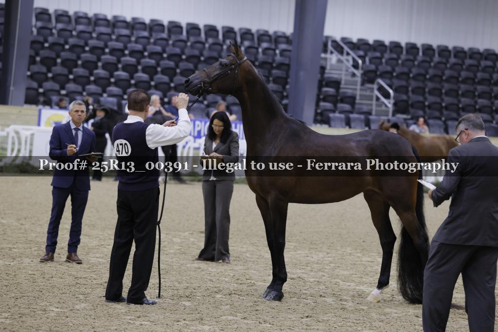 Proof Number 25R13_00391