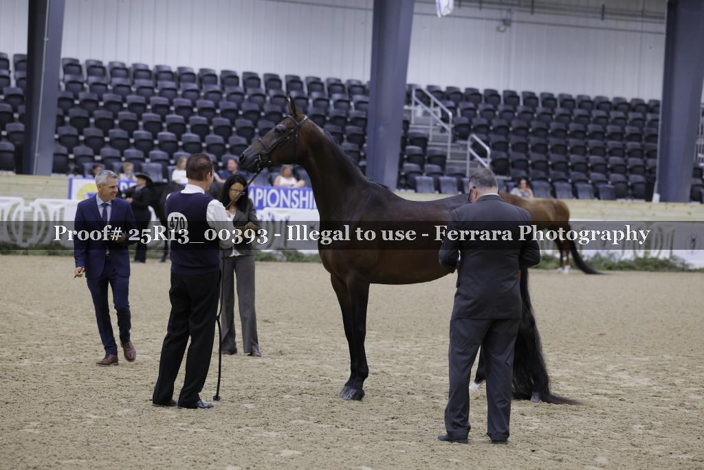 Proof Number 25R13_00393