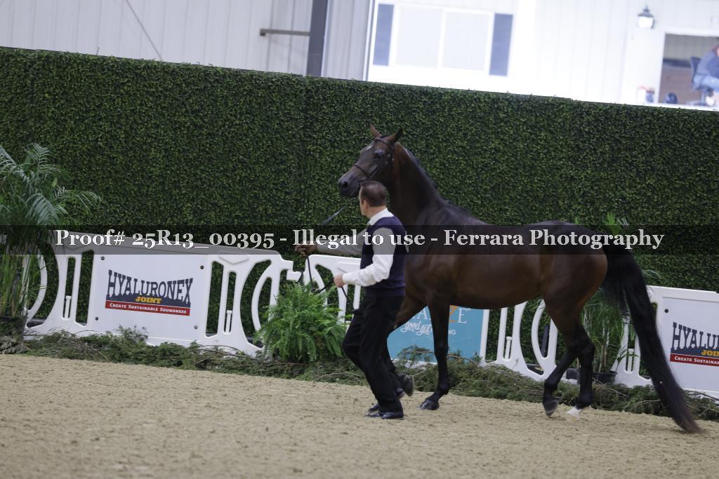 Proof Number 25R13_00395