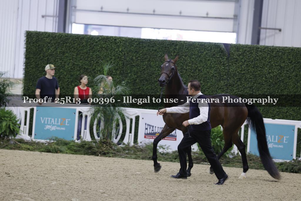Proof Number 25R13_00396