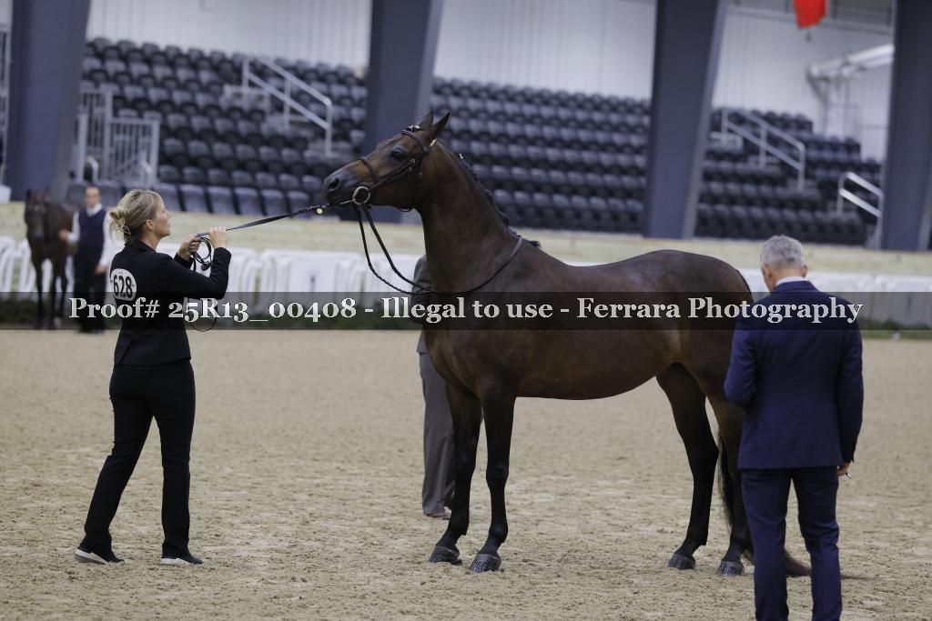 Proof Number 25R13_00408