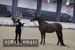 25R13_00411 thumbnail