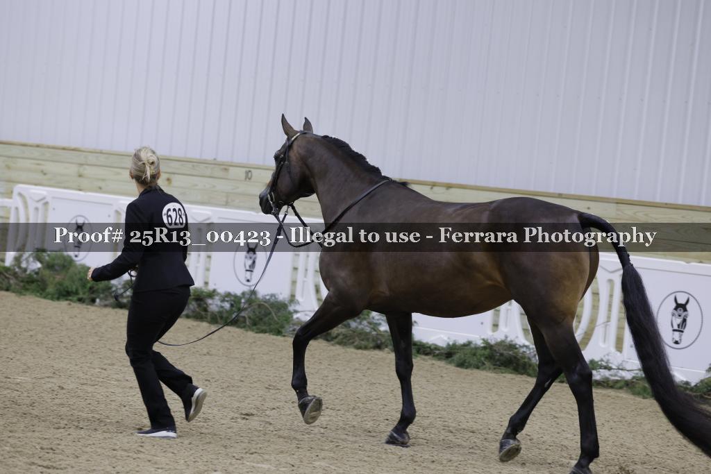 Proof Number 25R13_00423