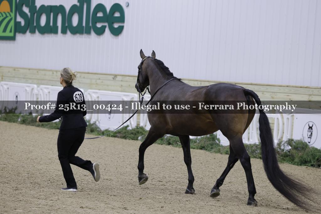 Proof Number 25R13_00424