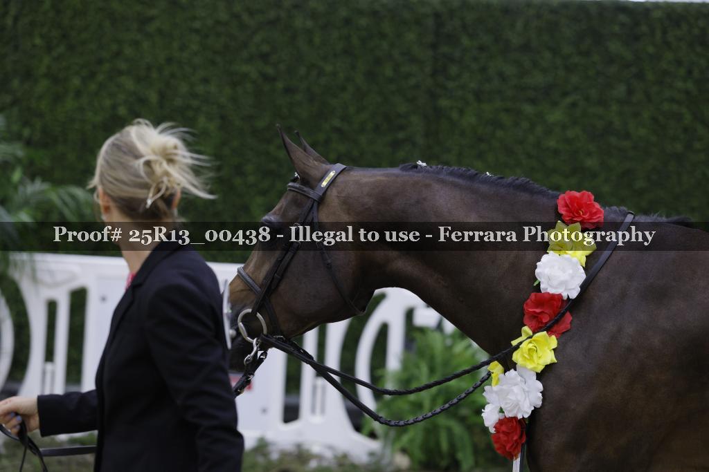 Proof Number 25R13_00438