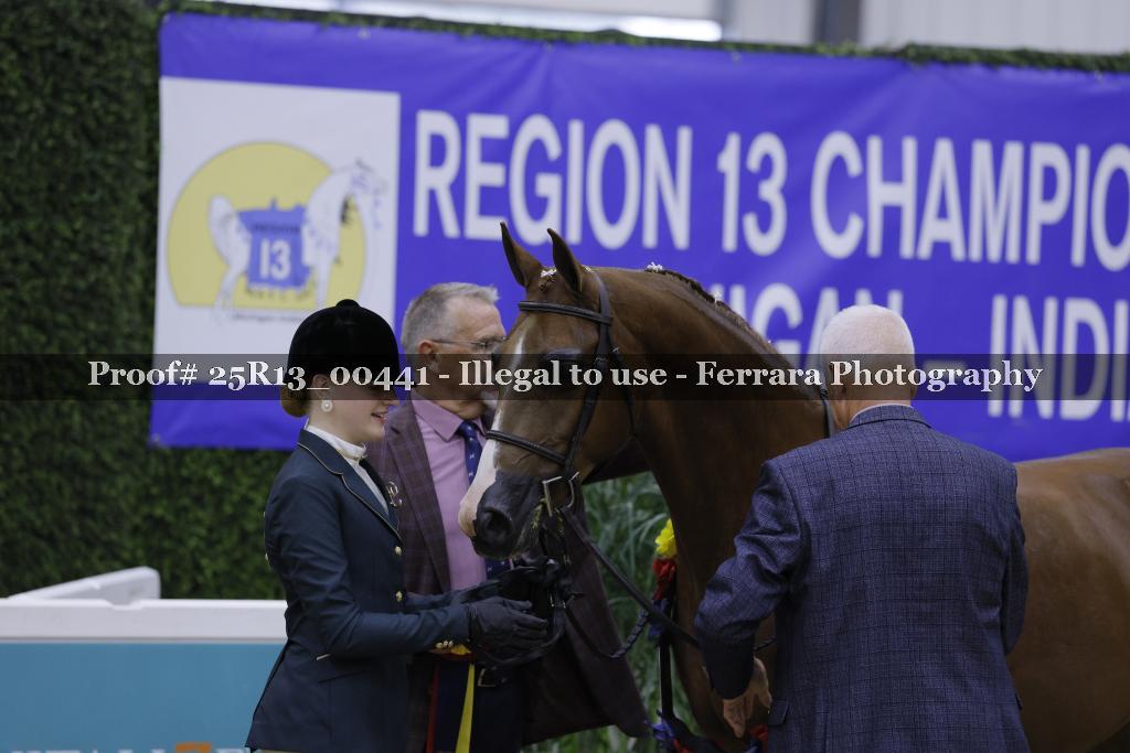 Proof Number 25R13_00441